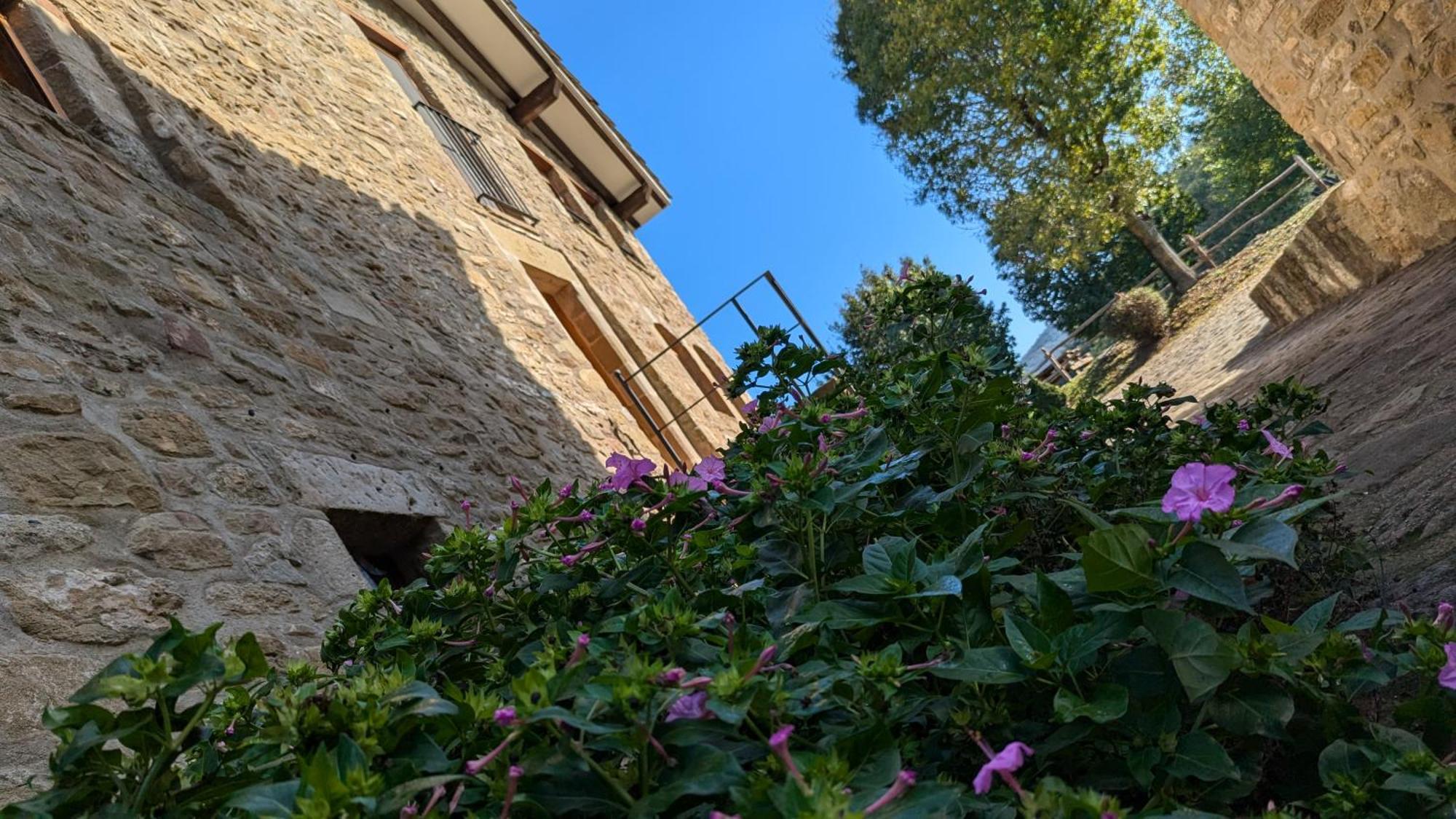 Ferienwohnung Mas El Carrer Santa Pau Exterior foto